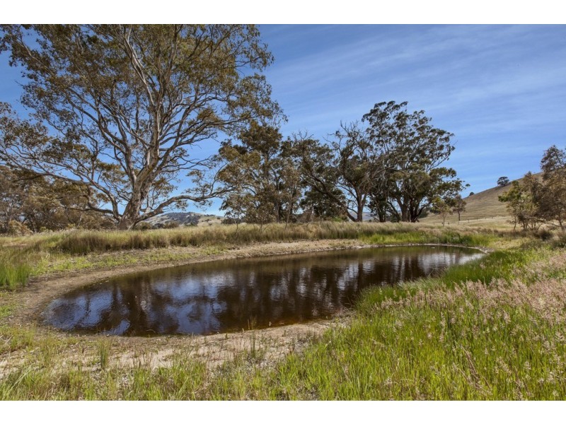 - Broadford-Pyalong Road, Pyalong VIC 3521