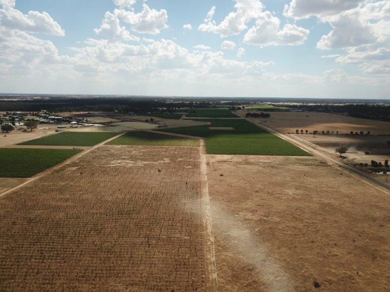 Lot 5and6 Dugala Estate Lignum Lane, Moama NSW 2731