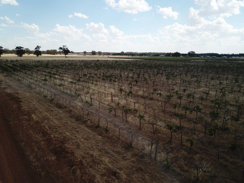 Lot 5and6 Dugala Estate Lignum Lane, Moama NSW 2731