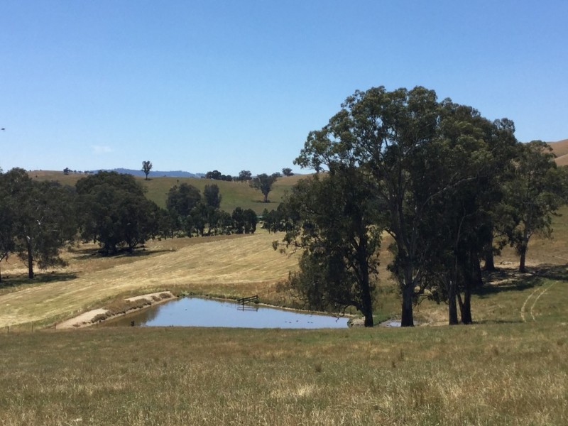 - Frog Ponds Road, Limestone VIC 3717