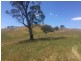 - Frog Ponds Road, Limestone VIC 3717