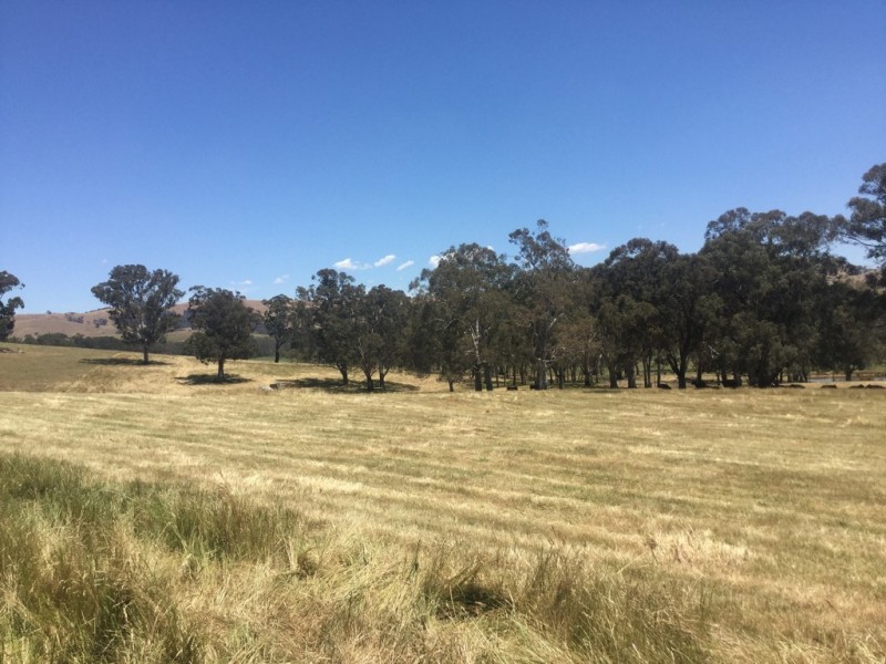 - Frog Ponds Road, Limestone VIC 3717
