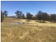 - Frog Ponds Road, Limestone VIC 3717