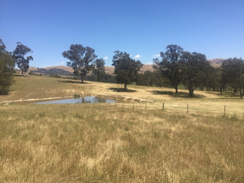 - Frog Ponds Road, Limestone VIC 3717