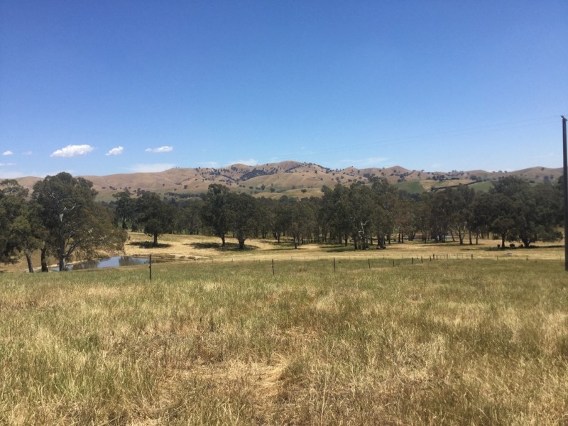 - Frog Ponds Road, Limestone VIC 3717