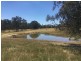 - Frog Ponds Road, Limestone VIC 3717
