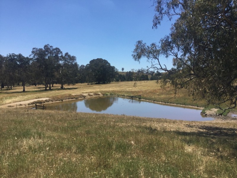 - Frog Ponds Road, Limestone VIC 3717