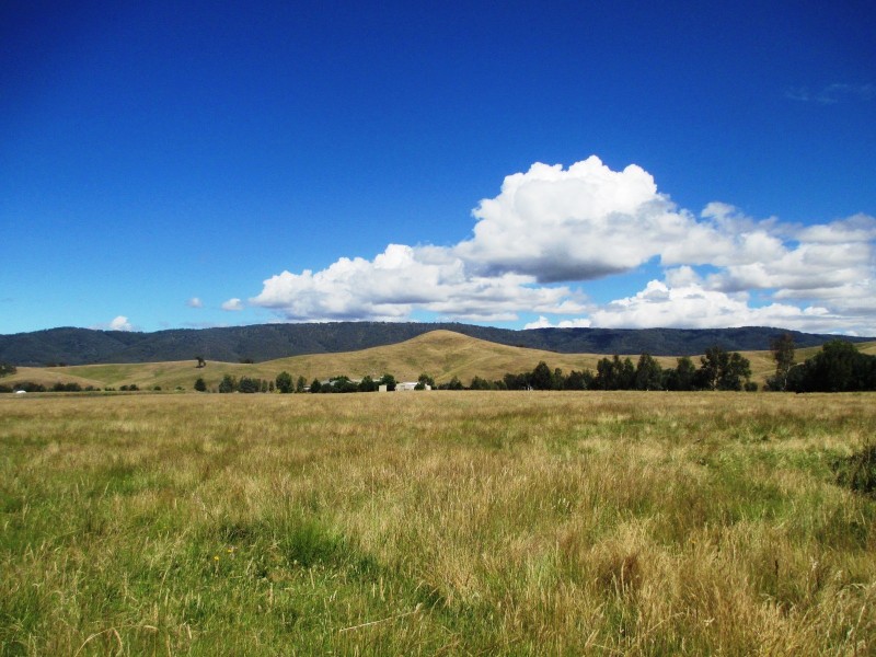 6877 MAROONDAH HIGHWAY, Yarck VIC 3719