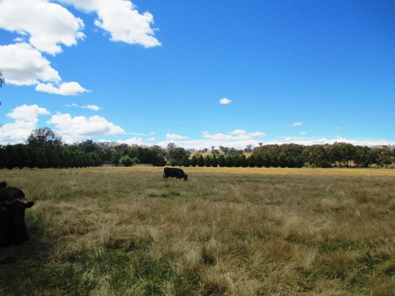 6877 MAROONDAH HIGHWAY, Yarck VIC 3719