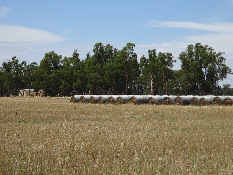 .. Hardings Lane, Moama NSW 2731