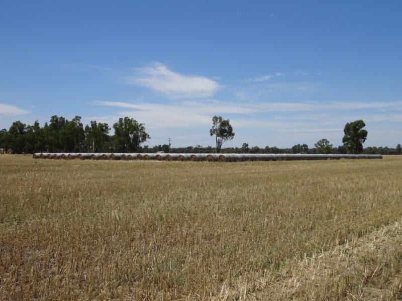 .. Hardings Lane, Moama NSW 2731