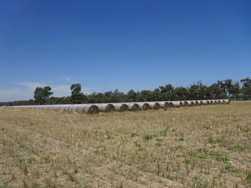 .. Hardings Lane, Moama NSW 2731