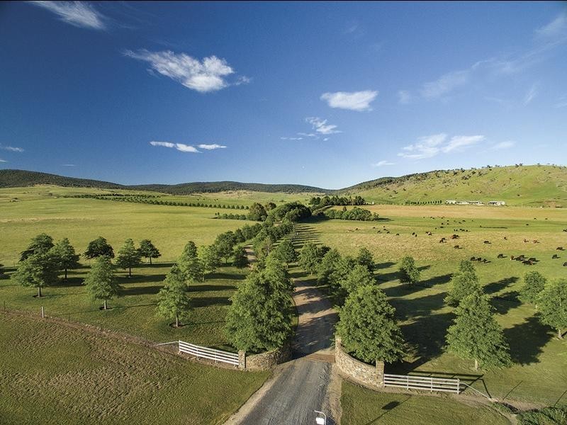 1929 Great Alpine Road, Omeo VIC 3898