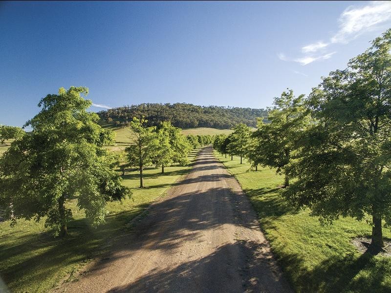 1929 Great Alpine Road, Omeo VIC 3898