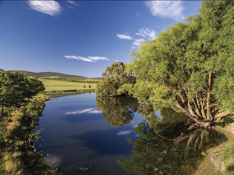 1929 Great Alpine Road, Omeo VIC 3898