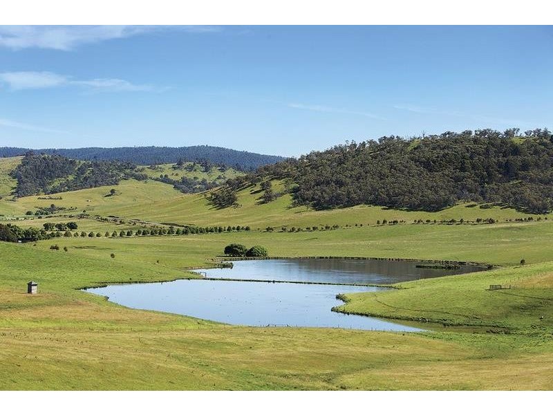 1929 Great Alpine Road, Omeo VIC 3898