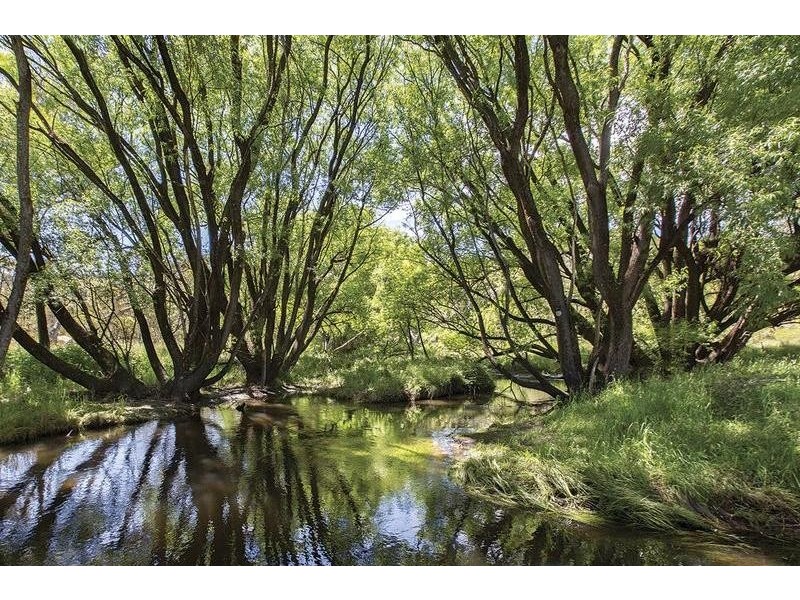 1929 Great Alpine Road, Omeo VIC 3898