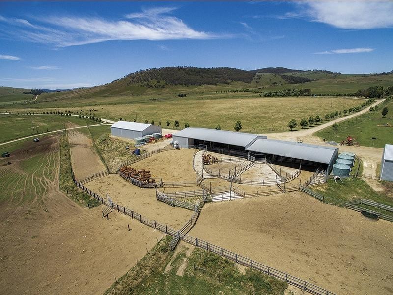 1929 Great Alpine Road, Omeo VIC 3898