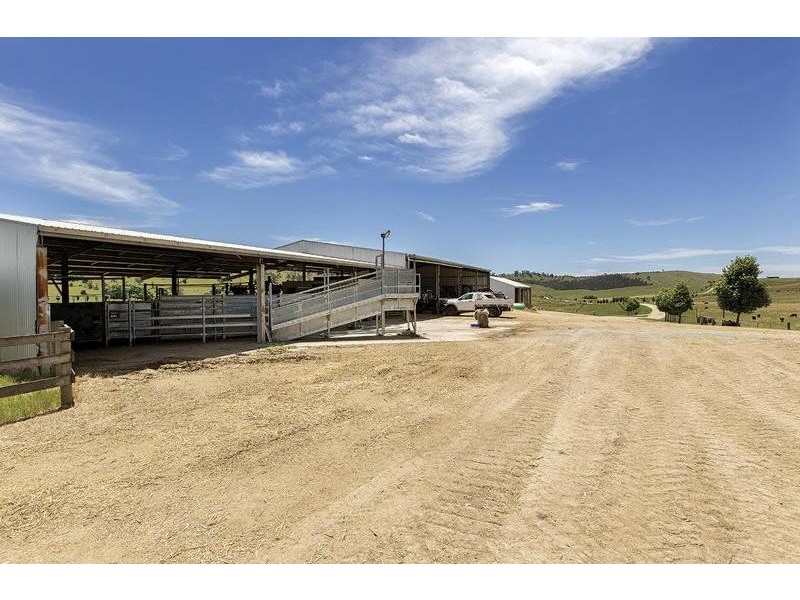 1929 Great Alpine Road, Omeo VIC 3898