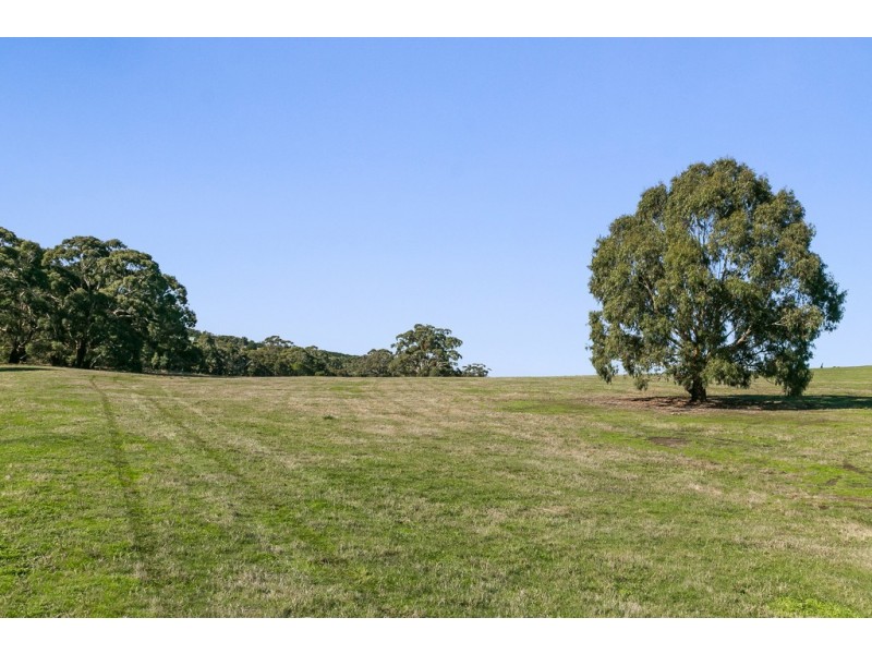 361 Mount Eliza Road, Riddells Creek VIC 3431