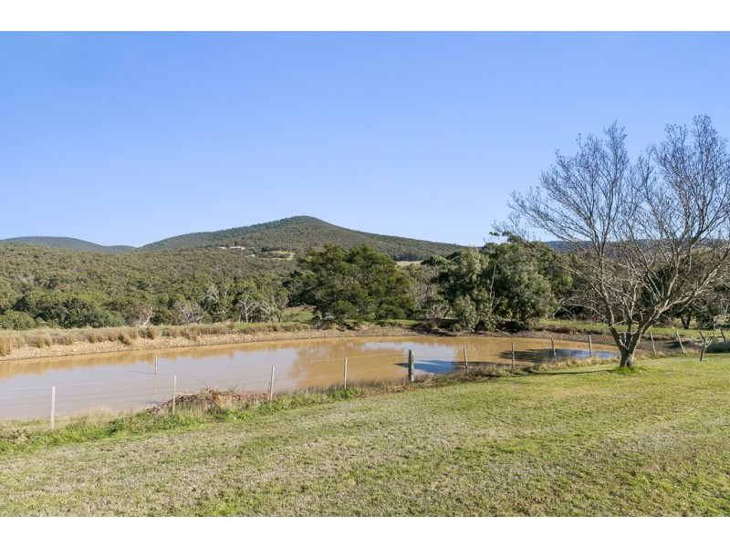 361 Mount Eliza Road, Riddells Creek VIC 3431