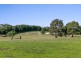361 Mount Eliza Road, Riddells Creek VIC 3431