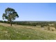 361 Mount Eliza Road, Riddells Creek VIC 3431