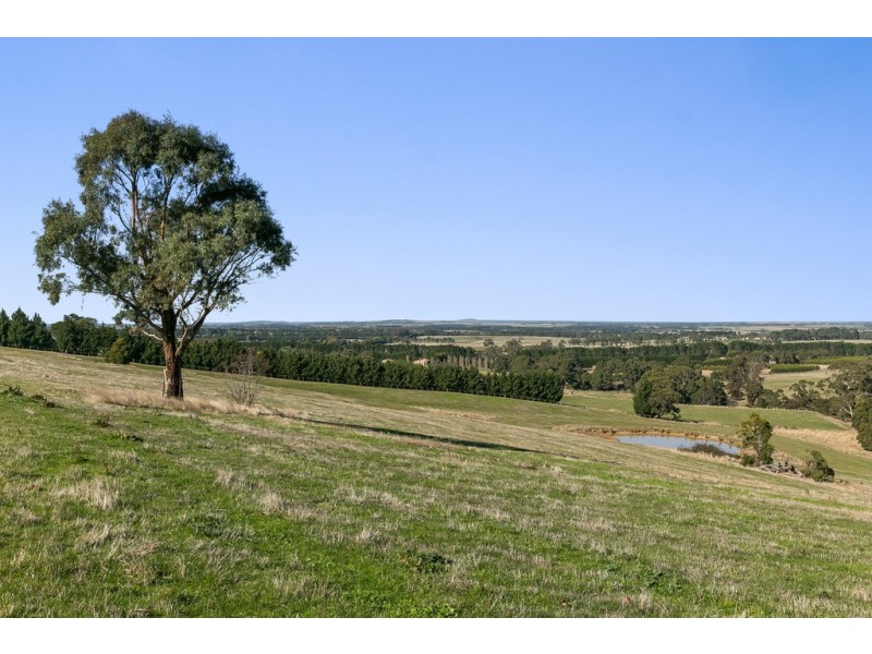 361 Mount Eliza Road, Riddells Creek VIC 3431