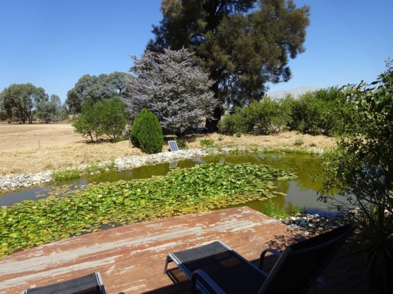 894 COBB HIGHWAY, Moama NSW 2731