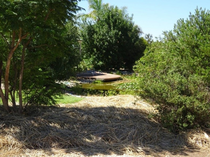 894 COBB HIGHWAY, Moama NSW 2731