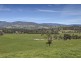 4836 Melba Highway, Murrindindi VIC 3717