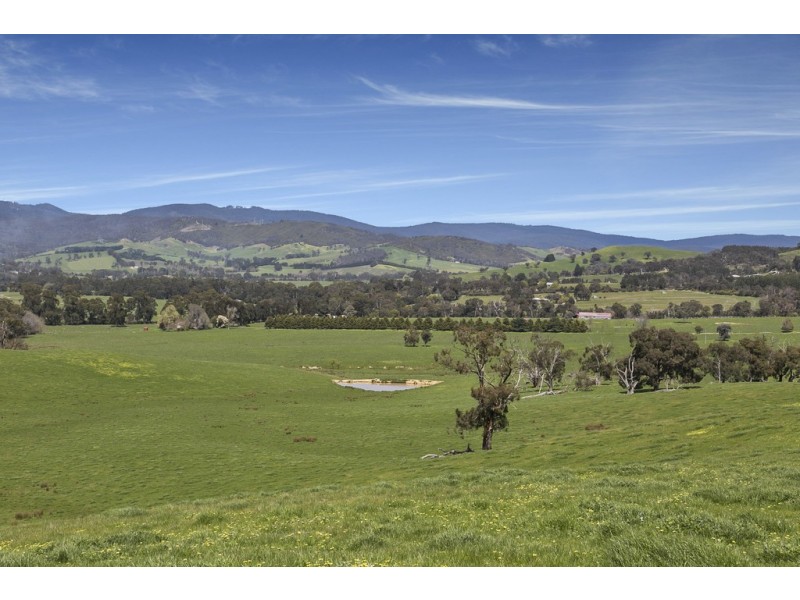 4836 Melba Highway, Murrindindi VIC 3717