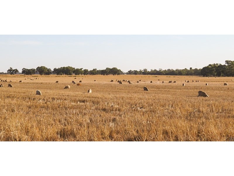 “Booroobil” Evandale Road, Bunnaloo NSW 2731