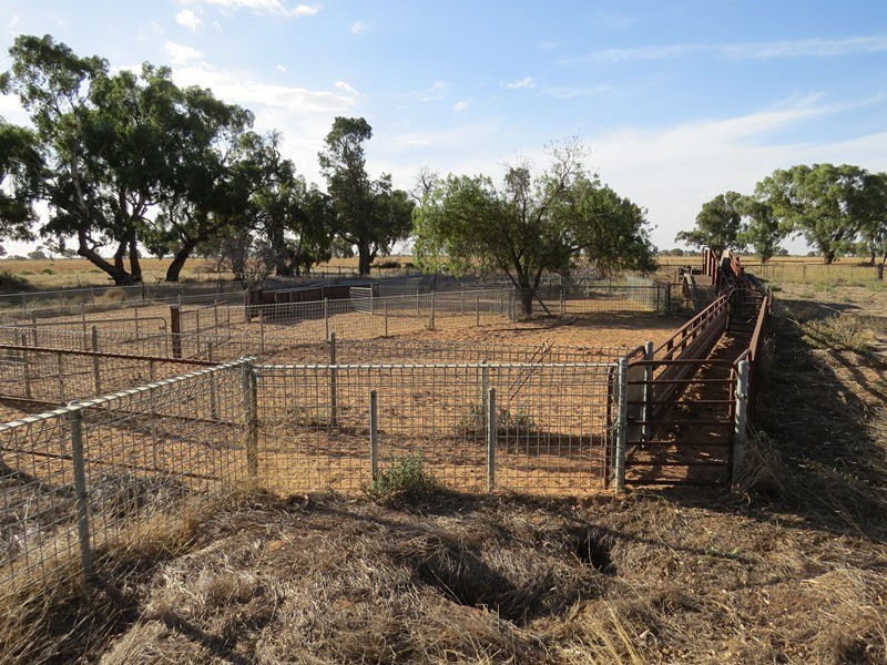 “Booroobil” Evandale Road, Bunnaloo NSW 2731