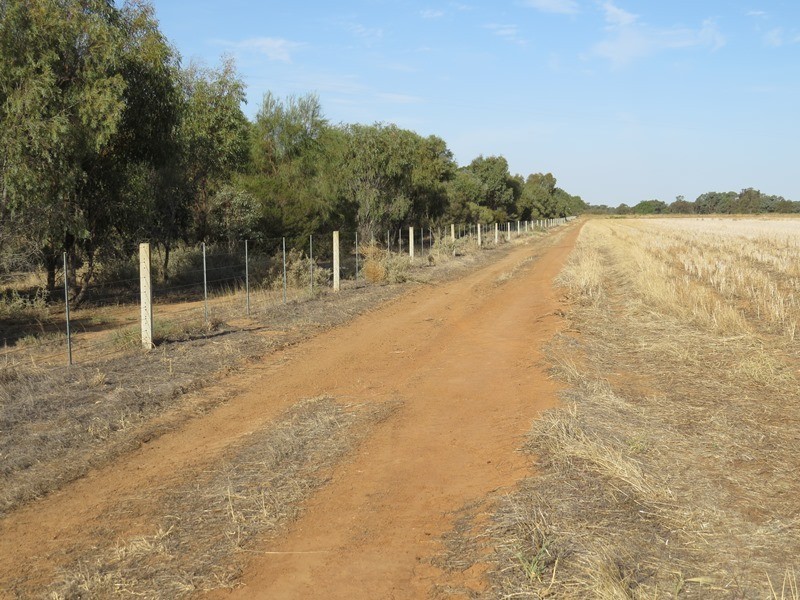 “Booroobil” Evandale Road, Bunnaloo NSW 2731