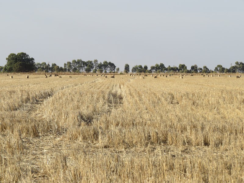 “Booroobil” Evandale Road, Bunnaloo NSW 2731