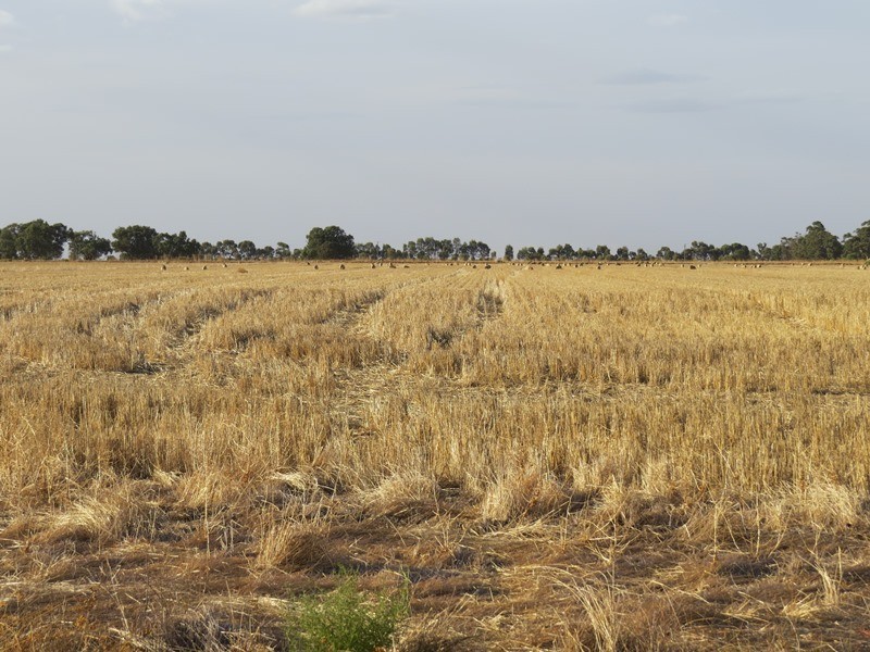 “Booroobil” Evandale Road, Bunnaloo NSW 2731