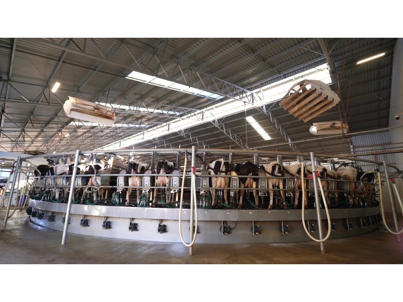 Coomboona VIC 3629