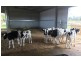 Coomboona VIC 3629