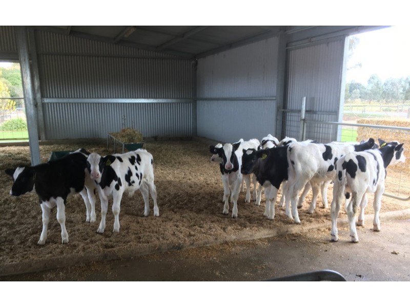 Coomboona VIC 3629