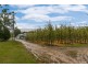 525 Tarrango Road, Gladysdale VIC 3797