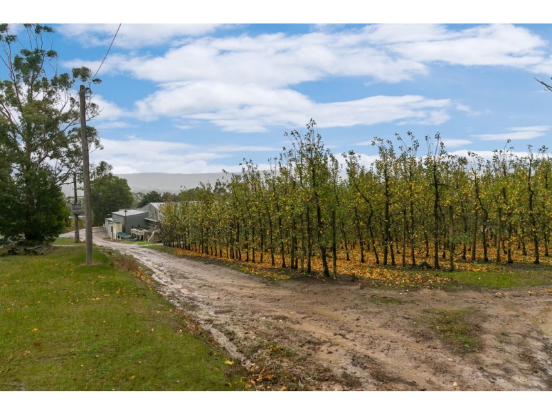 525 Tarrango Road, Gladysdale VIC 3797