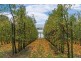 525 Tarrango Road, Gladysdale VIC 3797
