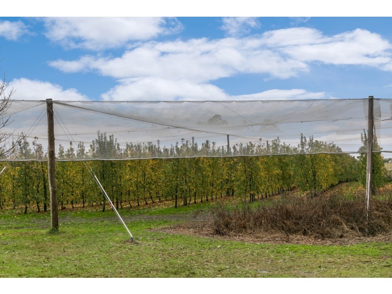 525 Tarrango Road, Gladysdale VIC 3797