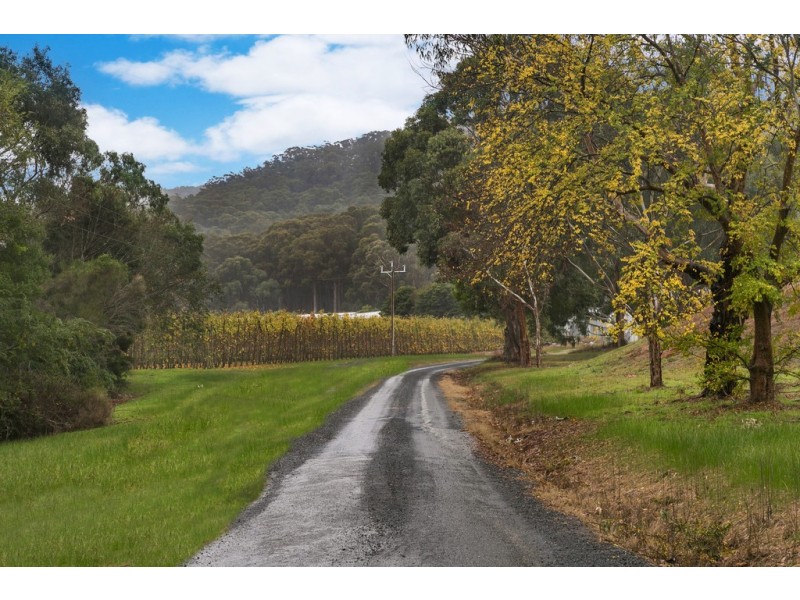 525 Tarrango Road, Gladysdale VIC 3797