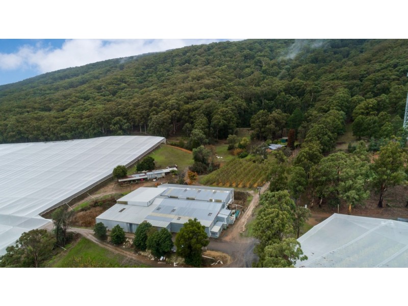 525 Tarrango Road, Gladysdale VIC 3797