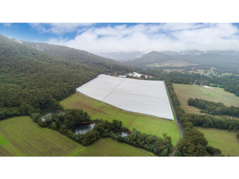 525 Tarrango Road, Gladysdale VIC 3797
