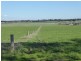 950 CASTLE CAREY ROAD, Terang VIC 3264