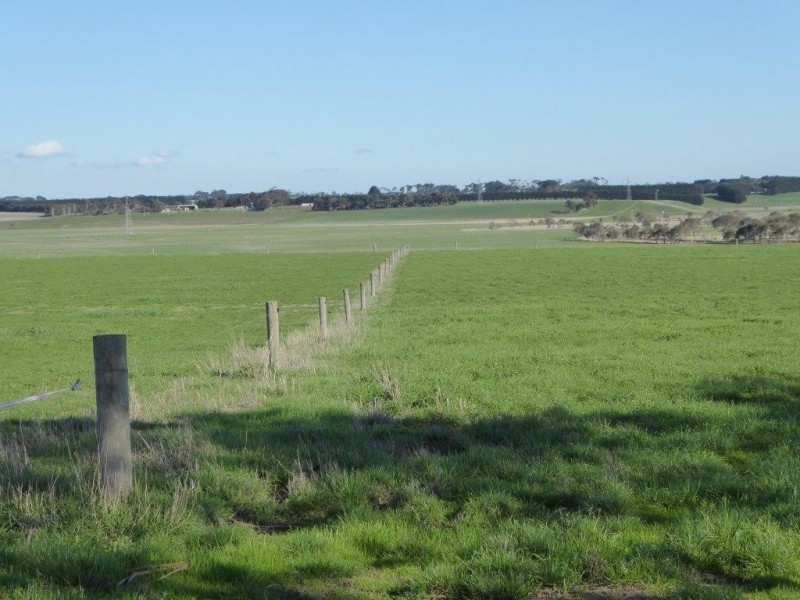 950 CASTLE CAREY ROAD, Terang VIC 3264