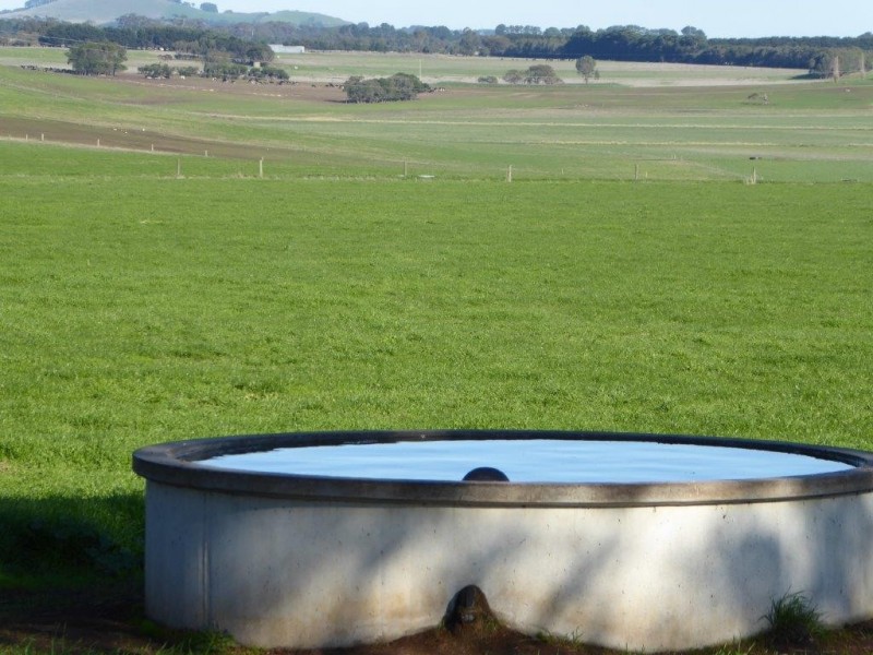 950 CASTLE CAREY ROAD, Terang VIC 3264